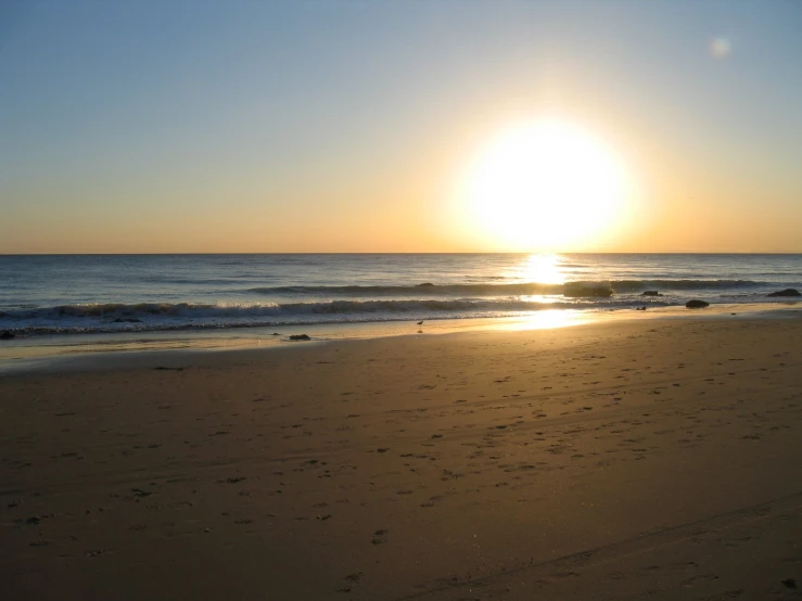 the sun is setting on a beach with a dog looking at it