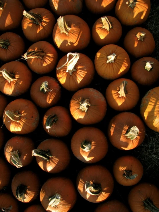 hundreds of pumpkins have been arranged in the shape of a pyramid