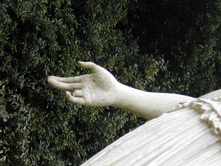 the hand of the statue is near a bush