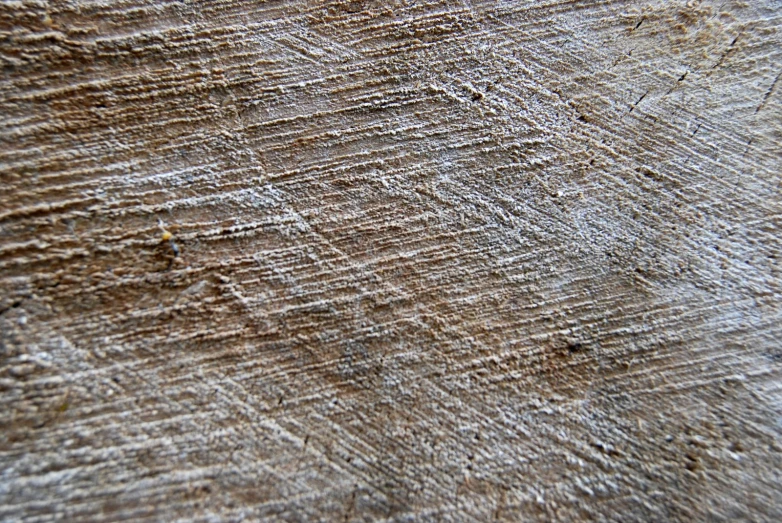 a close up view of the wood on this animal