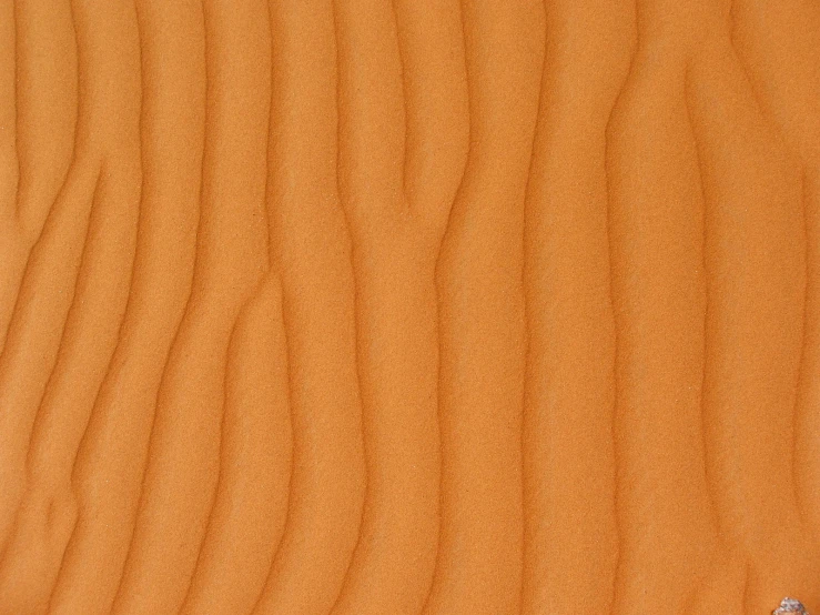 a close up of some sand that looks like an orange wood