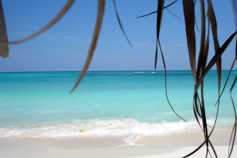 a close up of some water and a surf board on a beach