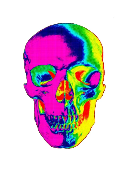 the 3d image of a colorful skull has a very different color scheme