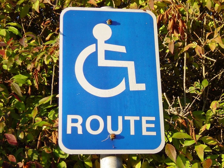 the blue sign has the image of a wheelchair on it