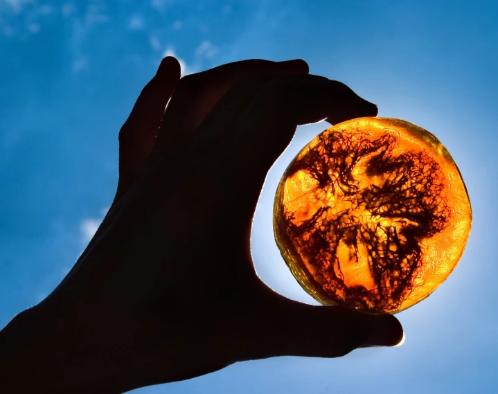 a hand holding an orange slice against the sky