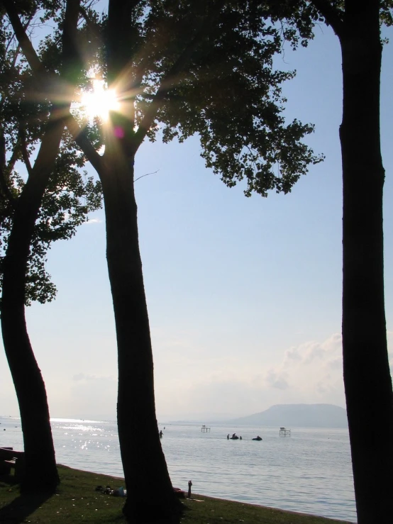 the sun is shining through the trees near water