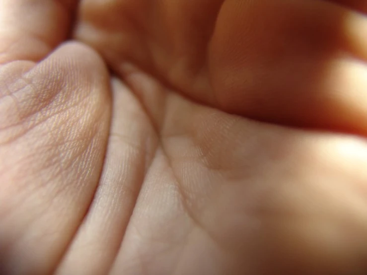 an extreme close up image of someones hand holding soing