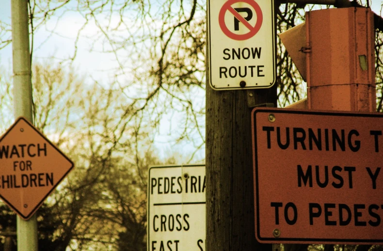 street signs with snow route sign next to tree