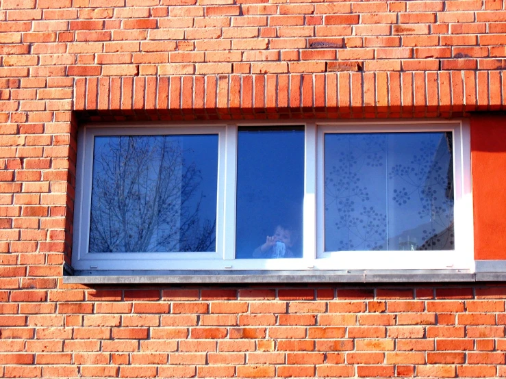 a person in a window looking out the outside