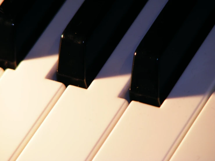 close up view of piano keys in upright position