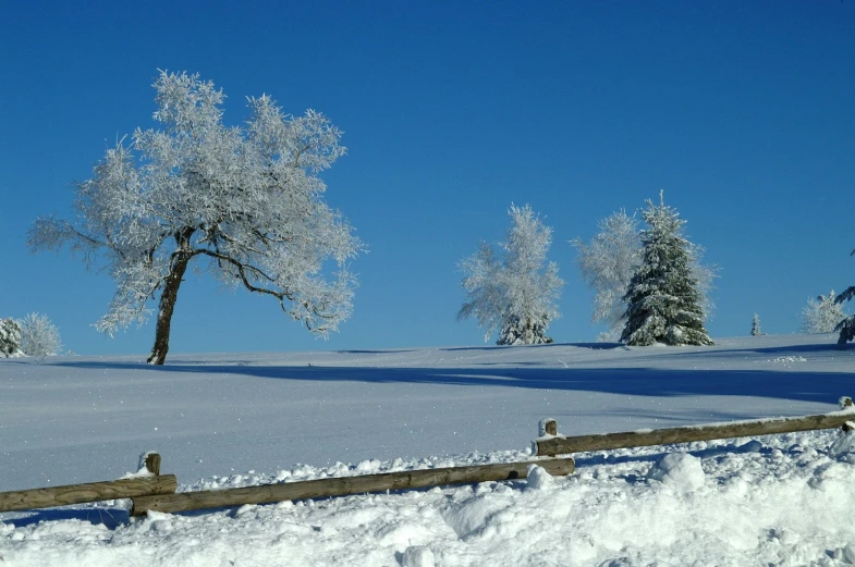 a snow covered field with trees on both sides