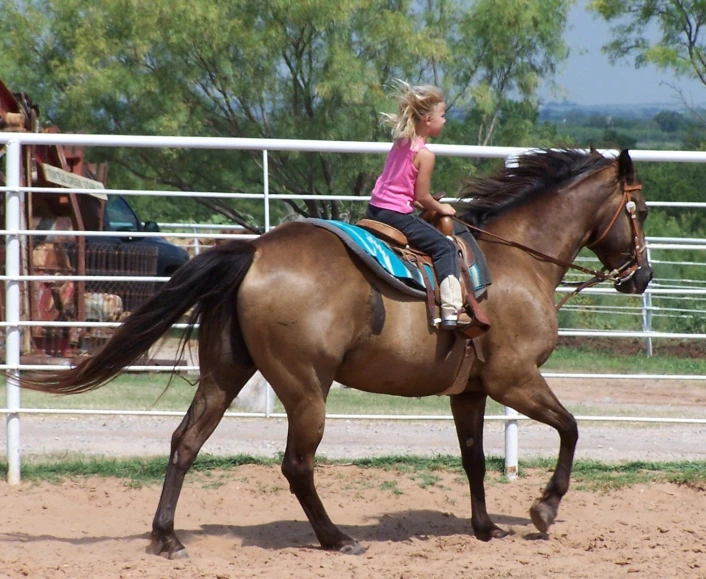 a little girl rides a horse around a fence