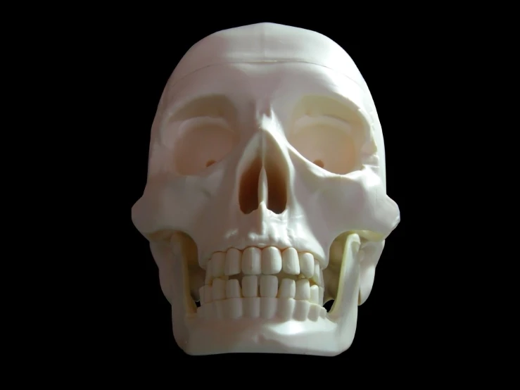 a skull on black background with no teeth