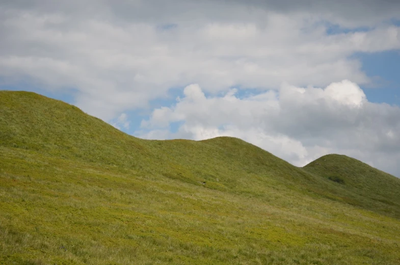 grass covered hills are featured against the sky