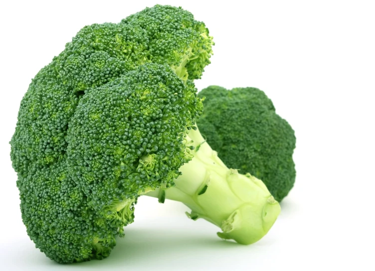 two pieces of broccoli are seen against a white background