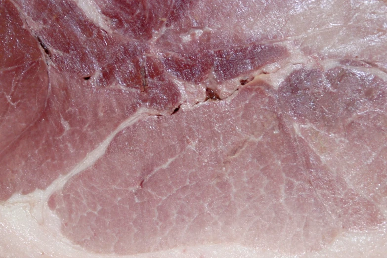 meat close up with streaks of brown on it