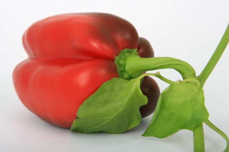 a single bell pepper is next to two large bell peppers