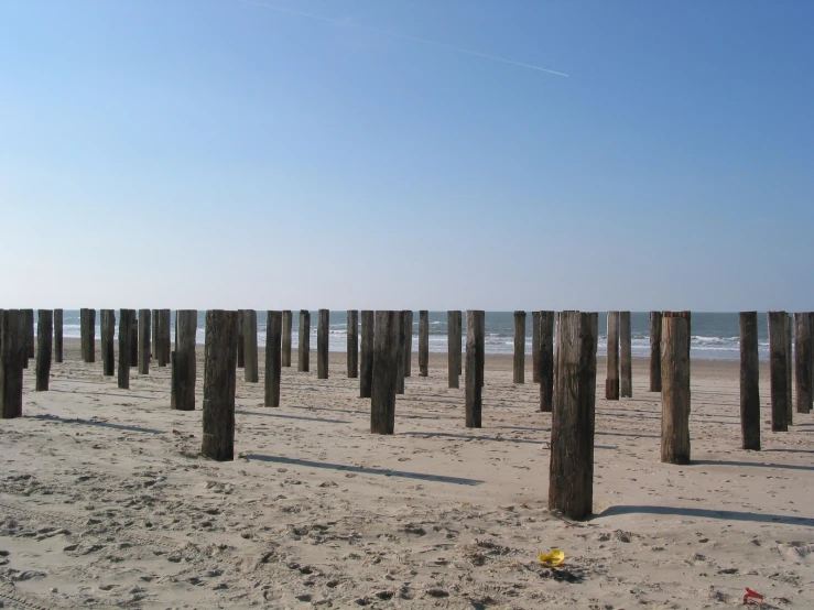 a bunch of wooden poles that are in the sand