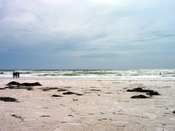 people are in the ocean standing on a beach