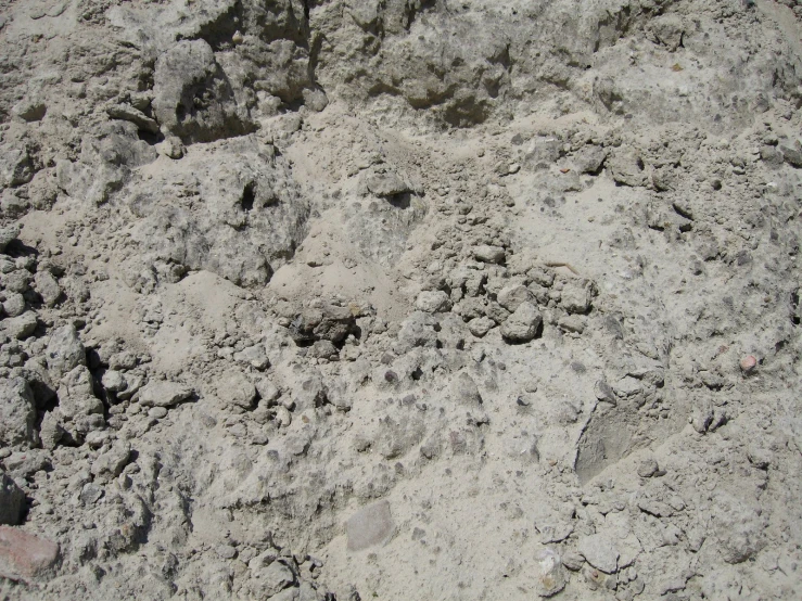 a close up of a dog paw prints in the sand