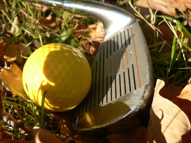 the yellow tennis ball is sitting on the golf racket and a golf ball