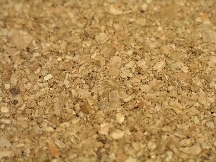 a close - up of the top part of a brown cork board