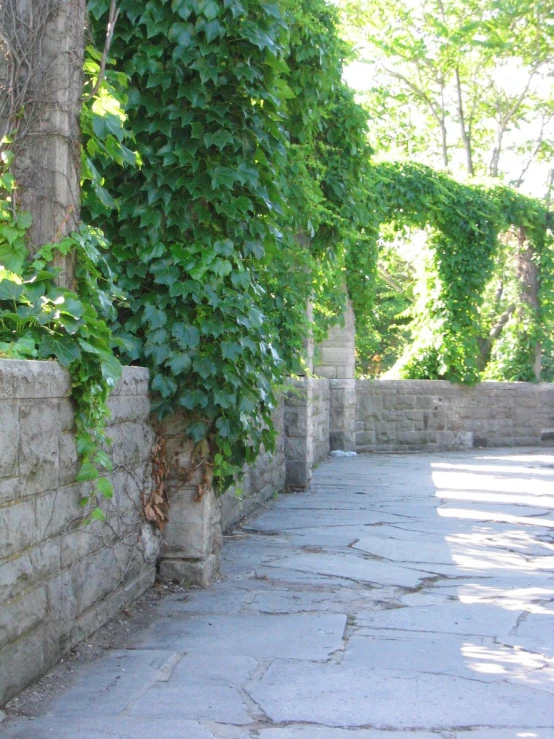 a stone building covered in vines and green leaves