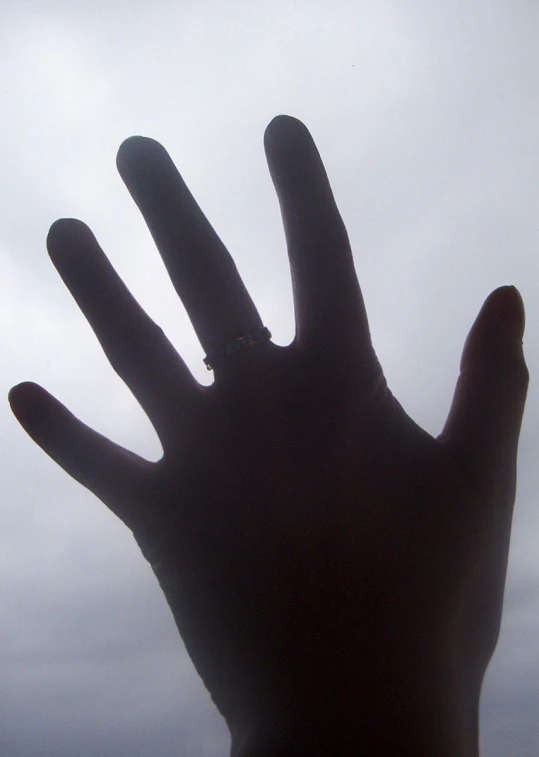 a silhouette of someone's hand holding an insect