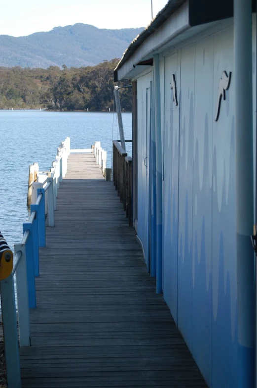 this is a picture of a pier with boats and houses