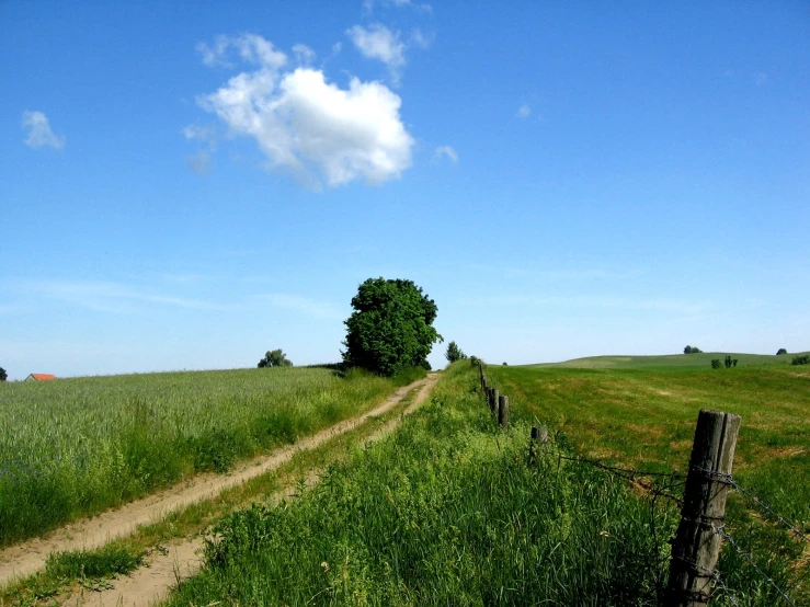 a small path running through an open field with a sky background
