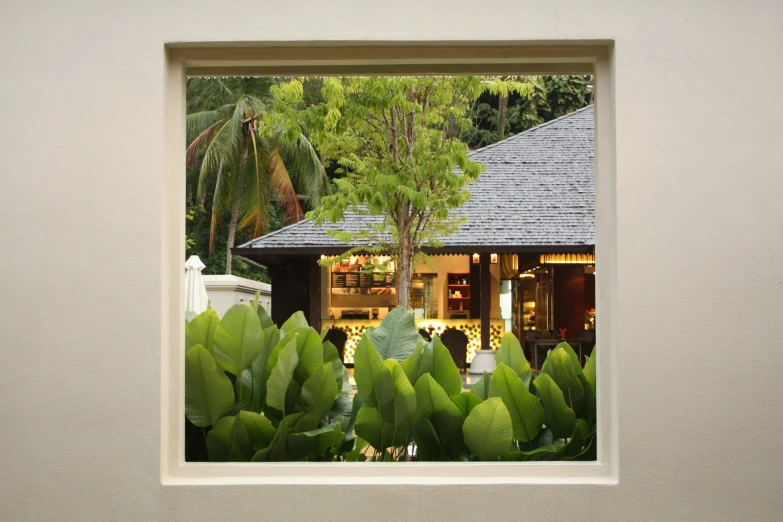 a window with view of a building with an overhanging tree