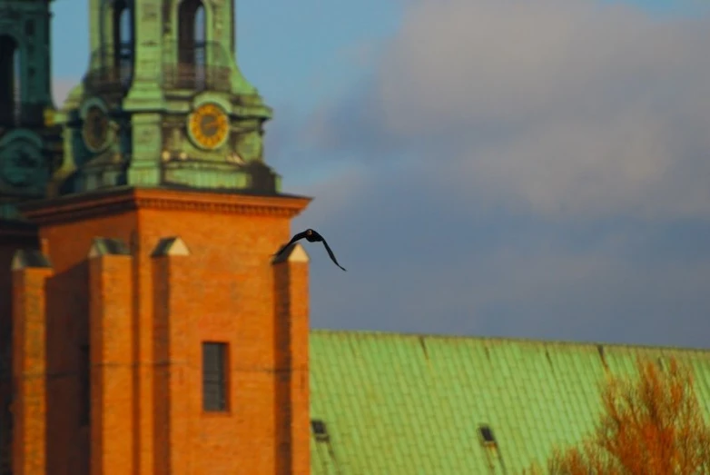 a bird flies over an old church tower