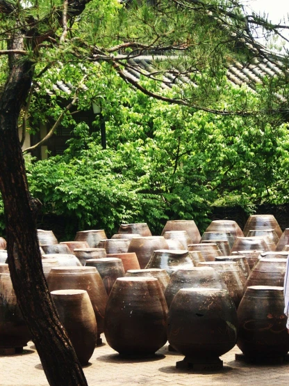 pottery vessels sitting in front of trees near the water
