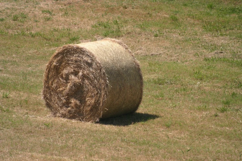 the hay is ready for us to be picked up