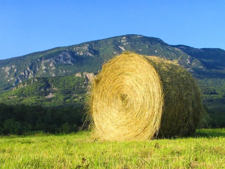 two hay bails in a field with mountain in the background