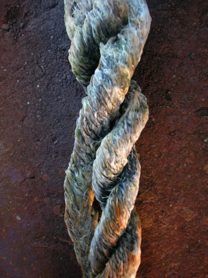 a piece of rope wrapped around it laying on the ground