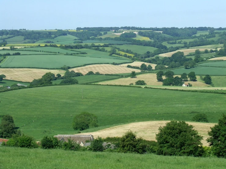 the lush green hills with houses are in the distance