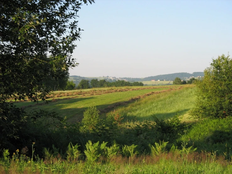 the view of the green countryside is seen through the trees