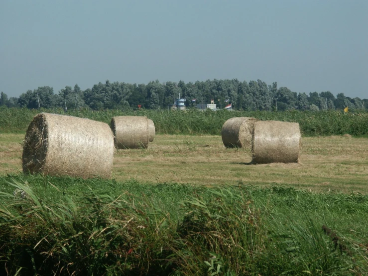 a field with three hay bales on each of them