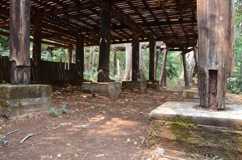 the structure for a shelter in a forest