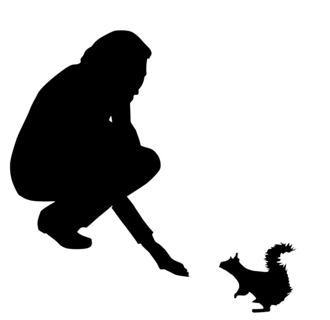 a silhouette of a dog chasing a woman