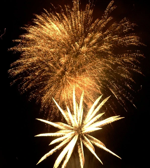 a large fireworks is being lit up in the sky