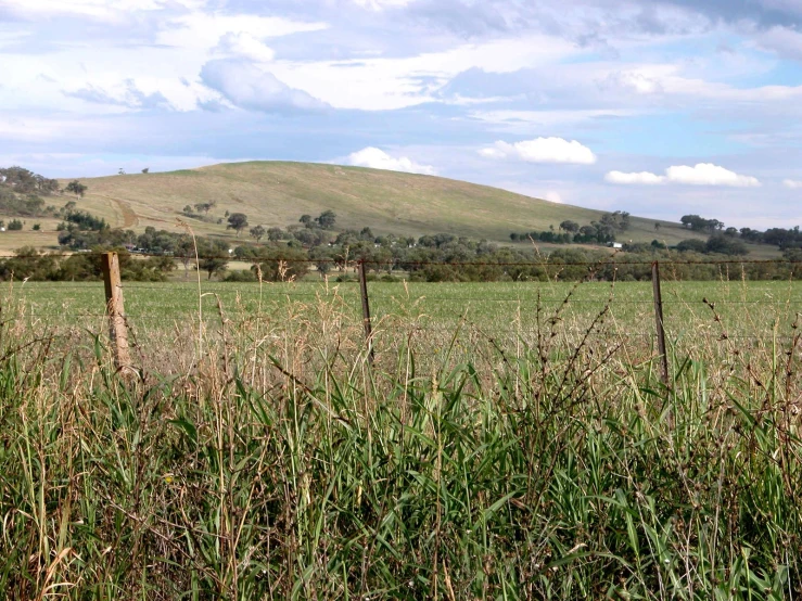 a big field with tall grass and fence