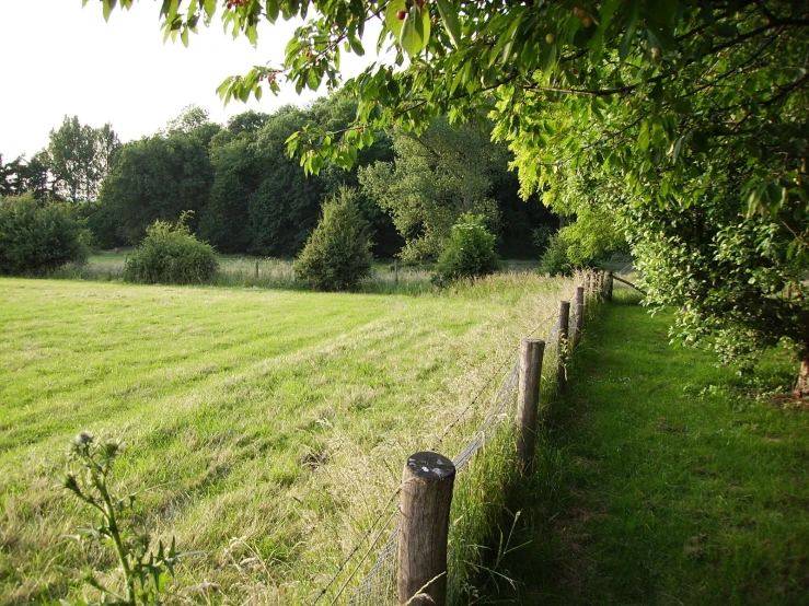 a very long fence near a field of green grass