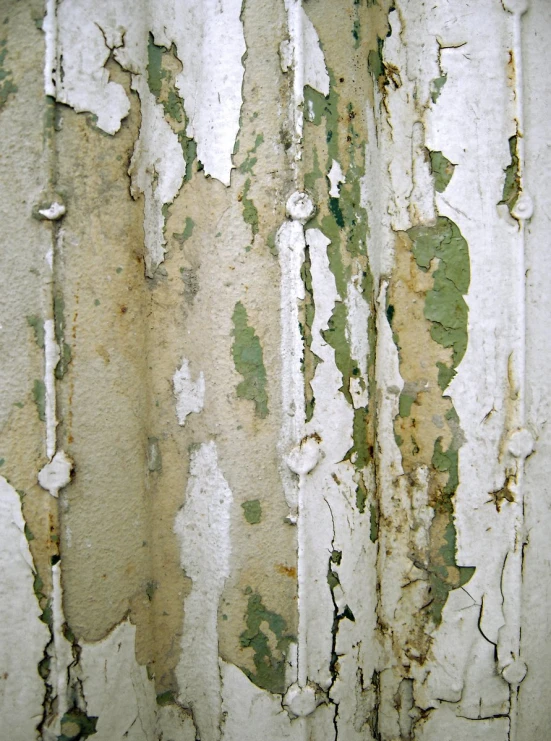 peeling paint on a white and green wall