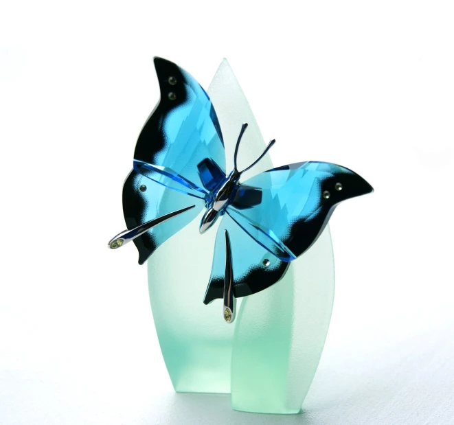 a erfly with black wings and a blue body in a display holder