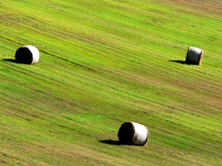 there are bales laying on the grass of a field