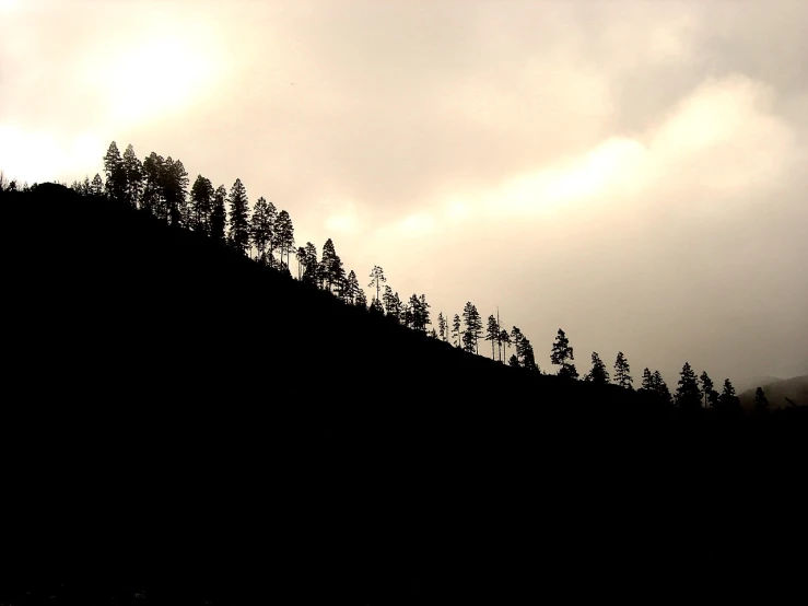 a forest is silhouetted against the sky as it appears to be dark