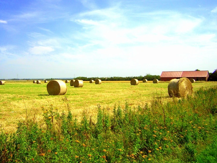 two bales of hay next to a field full of flowers