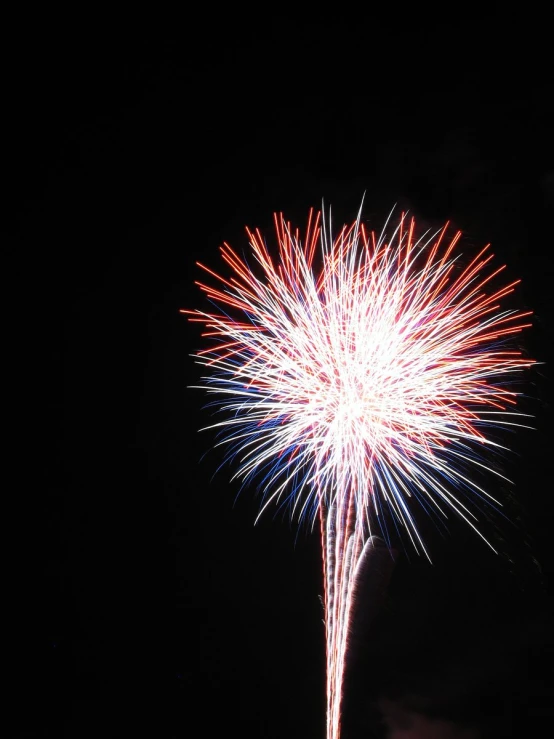 a beautiful firework in the night sky